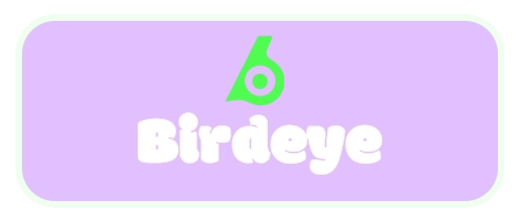 BirdEye